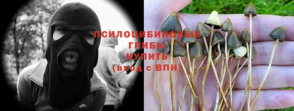 дживик Наволоки