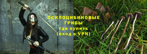 дживик Наволоки