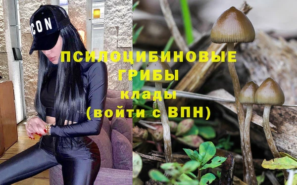хмурый Нефтекумск
